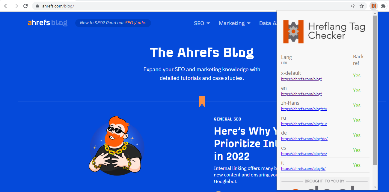 Hreflang Tag Checker-Erweiterung
