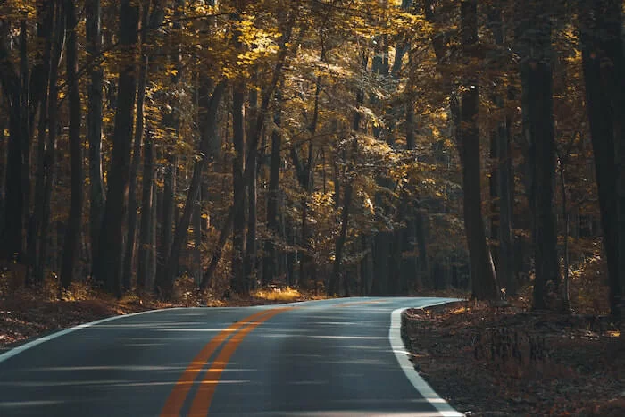 自然の背景