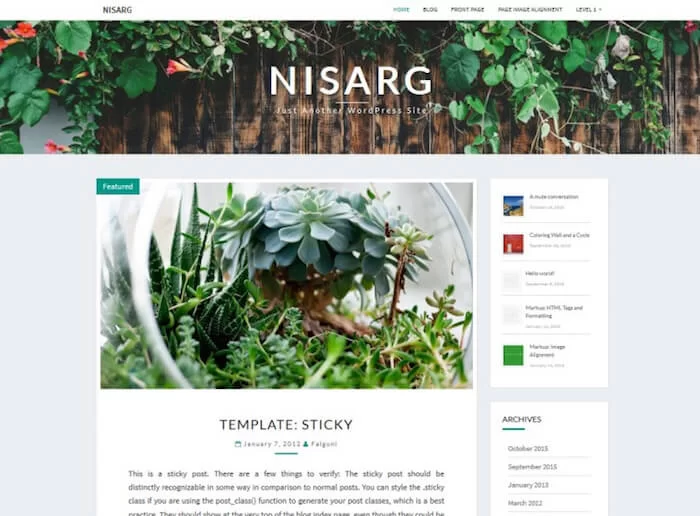 Thème WordPress Nisarg