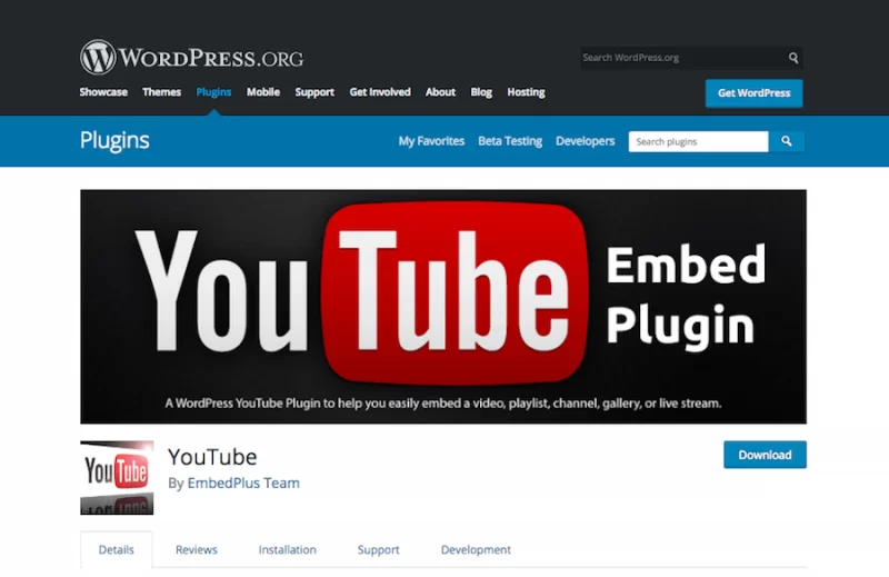 Plugin WordPress pentru YouTube