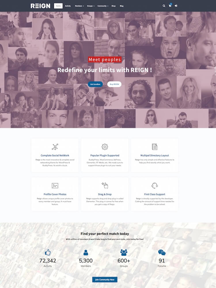 Reign BuddyPress-Thema