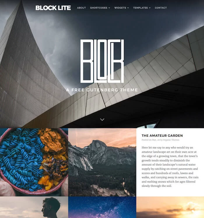 block-lite-wordpress-tema