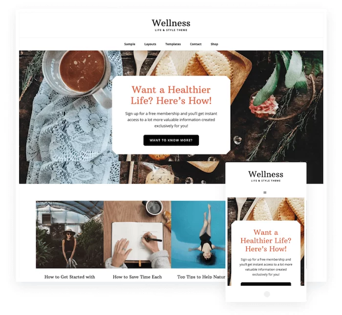 ธีม Wellness Pro