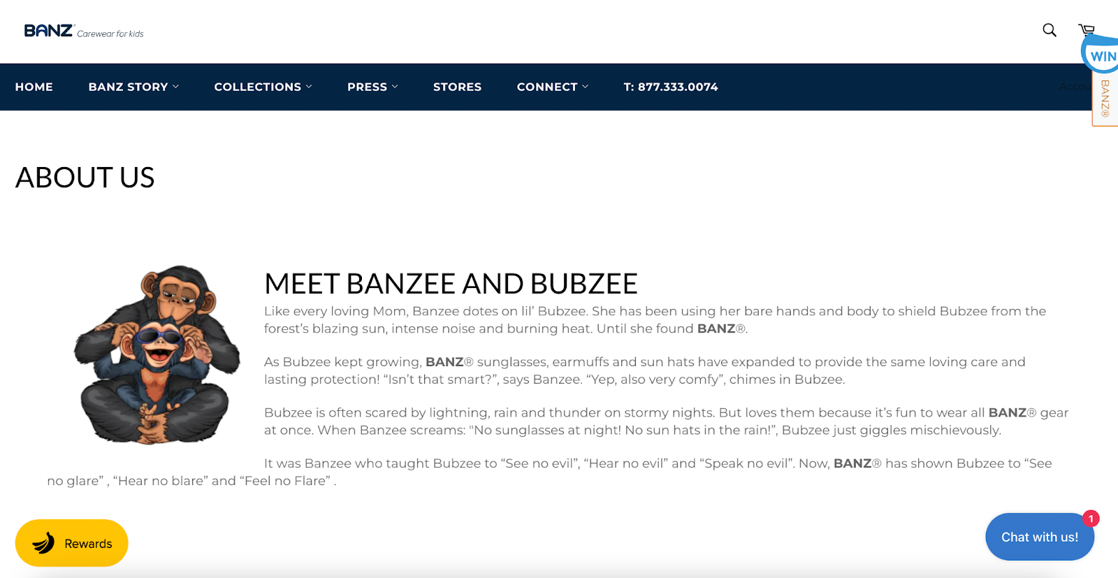 Branding-Checkliste – Ein Screenshot von Banz Carewear for Kids mit dem Titel „Meet Banzee and Bubsee“ und einem Bild von zwei Comic-Affen.